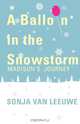 A Balloon in the Snowstorm, Sonja Van Leeuwe 