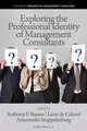 Exploring the Professional Identity of Management Consultants, 