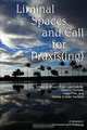Liminal Spaces and Call for Praxis(ing), Louis W. Fry 