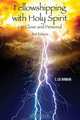 Fellowshipping with Holy Spirit - Up Close and Personal, S. Lee Winnan 