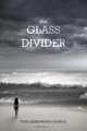 The Glass Divider, Toni Armstrong Sample 