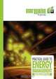 A Practical Guide to Energy Management for Processors, Energywise Consortium 