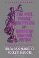 The Past, Present, and Future of American Criminal Justice, Brendan Maguire 