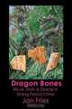 Dragon Bones - Ritual, Myth and Oracle in Shang Period China, Jan Fries 