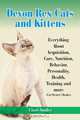 Devon Rex Cats and Kittens Everything About Acquisition, Care, Nutrition, Behavior, Personality, Health, Training and more (Cat Owner