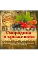 Смородина и крыжовник. Выращивание, хранение и заготовка, целебные свойства, Татьяна Замулина, Татьяна Молодцова 