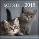 Котята. Настенный календарь на 2015 год, Онищенко Н. 