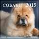 Собаки. Календарь настенный на 2015 год, Онищенко Н. 