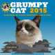 Grumpy Cat 2015. Календарь от самой сердитой кошки в мире. Настенный календарь на 2016 и 2017 годы, 