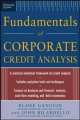 Standard & Poor'S Fundamentals Of Corporate Credit Analysis, Blaise Ganguin 