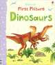 First Picture Dinosaurs, Felicity Brooks 