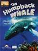 The Humpback Whale: Reader: Level B1, Virginia Evans, Jenny Dooley 