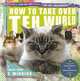 How to Take Over Teh Wurld, Professor Happycat 