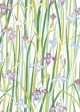Florals, 