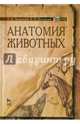 Анатомия животных. Учебное пособие. Гриф МО РФ (+ DVD), Зеленевский Николай Вячеславович, Зеленевский Константин Николаевич 