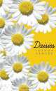 Daisies, Joshua Senter 