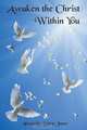 Awaken the Christ Within, Alexander Soltys Jones 