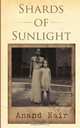 Shards of Sunlight, Anand Nair 