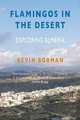 Flamingos in the Desert, Kevin Borman 