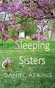 Sleeping Sisters, Daniel Adkins 