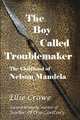 The Boy Called Troublemaker: Based on the Childhood of Nelson Mandela, Ellie Crowe 