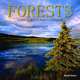 2014 Forests Wall, Brush Dance Publishing 