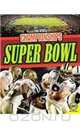Super Bowl (Pro Sports Championships), Aneel Brar 