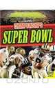 Superbowl (Pro Sports Championships), Aneel Brar 