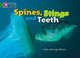 Spines, Stings and Teeth. Workbook, 