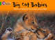 Big Cat Babies Workbook, 