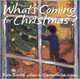 What's Coming for Christmas?, Banks Kate 