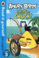 Angry Birds: Cheer Up, Chuck! Level 3, 