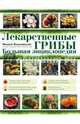 Лекарственные грибы. Большая энциклопедия, Вишневский Михаил Владимирович 
