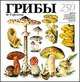 Грибы. 250 видов съедобных, ядовитых и лечебных грибов, М. Н. Сергеева, Н. Г. Замятина, Л. В. Гарибова 