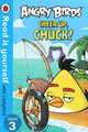 Angry Birds: Cheer Up, Chuck! Level 3, Richard Dungworth 