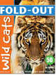 Wild Cats, Zwemmer Dominic 