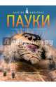 Пауки. Энциклопедия для школьников, Даниэль Джилпин 