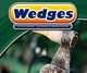 Wedges (Simple Machines), Katie Marsico 