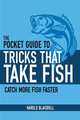 Tricks That Take Fish: The Definitive Guide to Catching Freshwater Gamefish on Bait, Lures, and Flies, Harold Blaisdell 