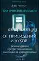 Как очистить ваш дом от привидений и духов. Рекомендации профессионального охотника за привидениями, Честнат Дэби 