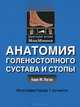 Анатомия голеностопного сустава и стопы, Логан Бари М. 