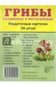 Демонстрационные картинки СУПЕР ГРИБЫ.16 раздаточных карточек с текстом(63х87мм), 