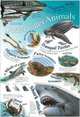 Underwater Animals. Плакат, 