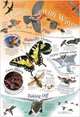 Things with Wings. Wall Chart, 