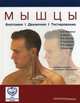 Мышцы. Анатомия. Движения. Тестирование / К. Валериус; Пер. с англ. М.Б. Цыкунов., Валериус Клаус-Петер, Франк Астрид, Колстер Бернард К. 