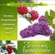 Природа дарит здоровье. Лечебные кустарники, Платонова Е. 