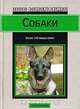 Собаки, Джейн Эди 