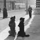 Doisneau 2015, 