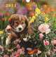 Календарь 2014 (на спирали). Щенки, 