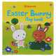 Easter Bunny Flap Book, Taplin Sam 